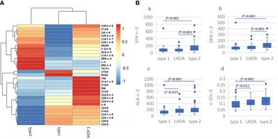 Fatty Acid Profiles and Their Association With Autoimmunity, Insulin Sensitivity and β Cell Function in Latent Autoimmune Diabetes in Adults